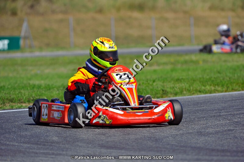 DSC_ (1371).jpg